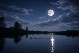 Strawberry Moon Open Water Swim